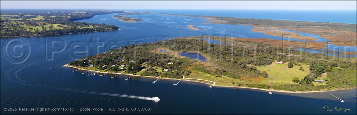 Peter Bellingham Photography Boole Poole - VIC (PBH3 00 33780)